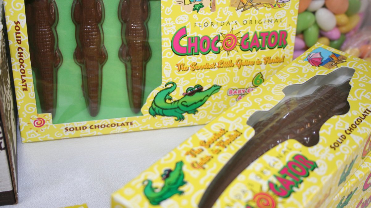 Chocolate Alligators