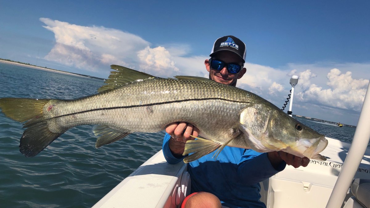 Coastal Chaos Fishing Charters  Visit St Petersburg Clearwater