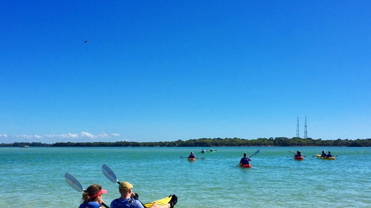 Coastal Kayak Tours St Pete Visit St Petersburg Clearwater Florida