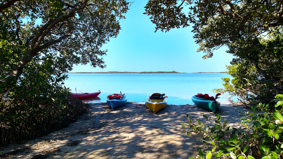 Shell Key Preserve