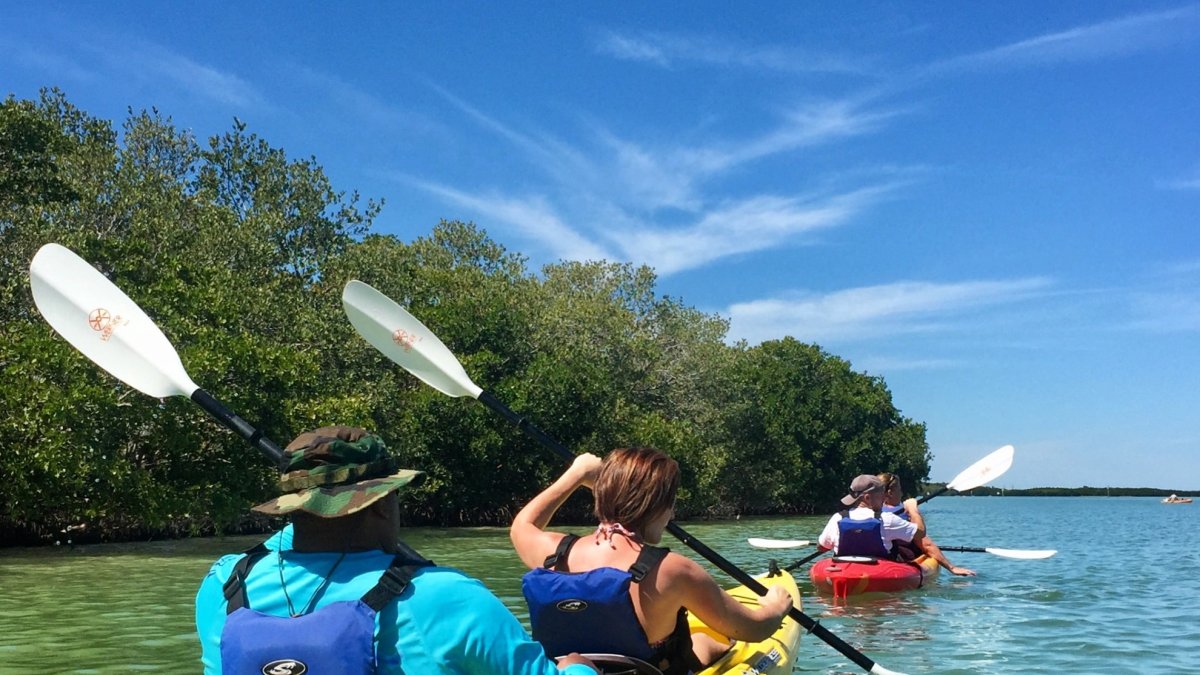 Kayak Tours St Pete Beach