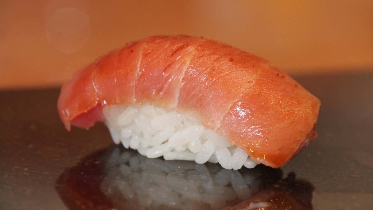 Chu Toro Nigiri