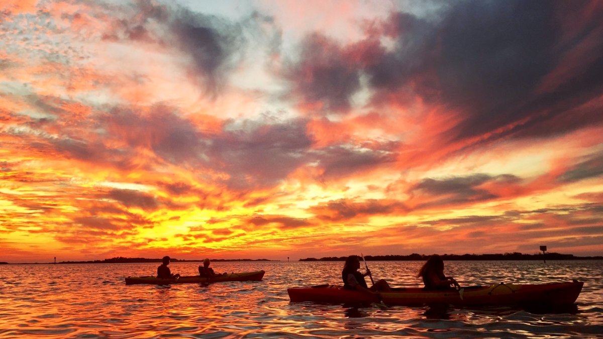 Coastal Kayak Tours St Pete