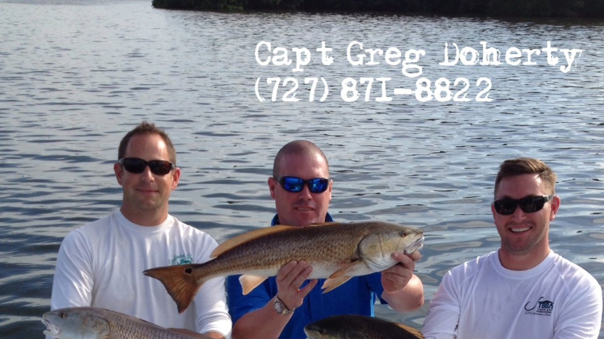 Tripled up on Tampa Bay redfish!