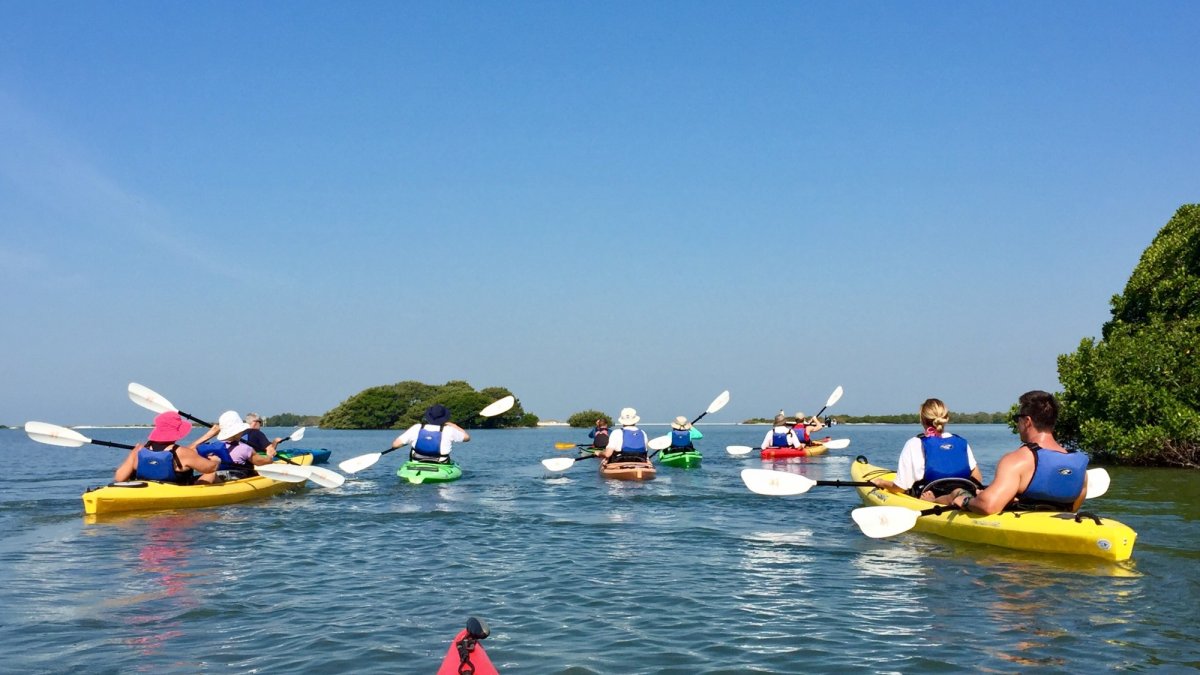 Coastal Kayak Tours St Pete