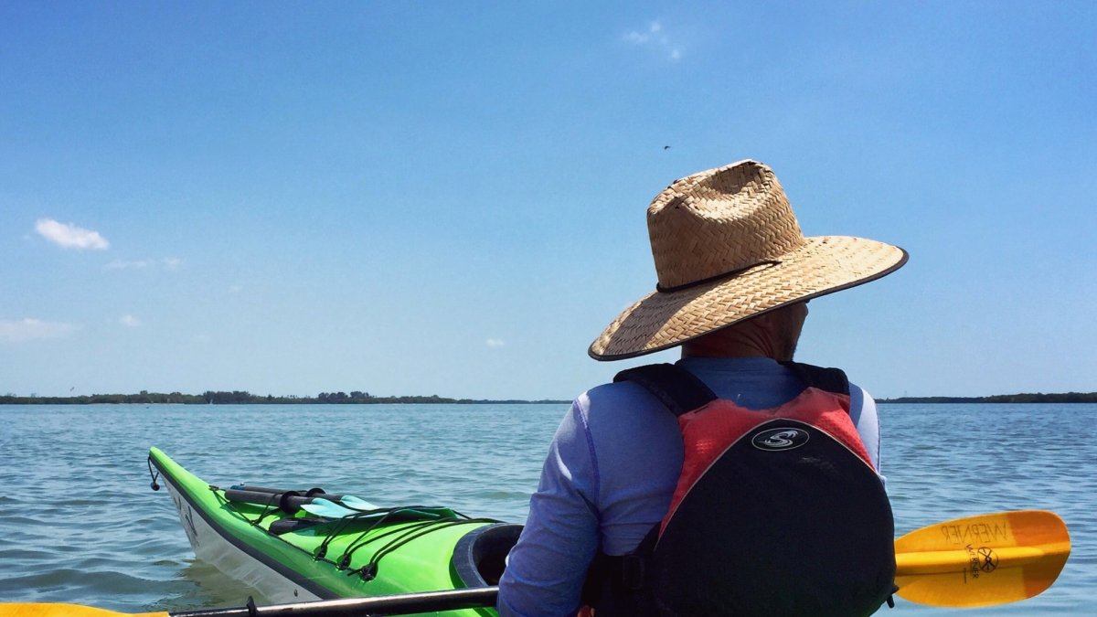 Coastal Kayak Tours St Pete