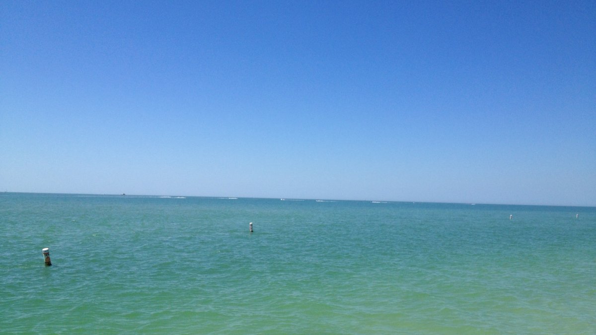 clearwaters of Madeira Beach