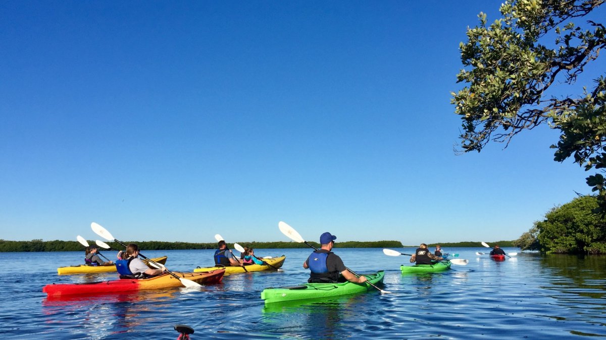 Coastal Kayak Tours St Pete