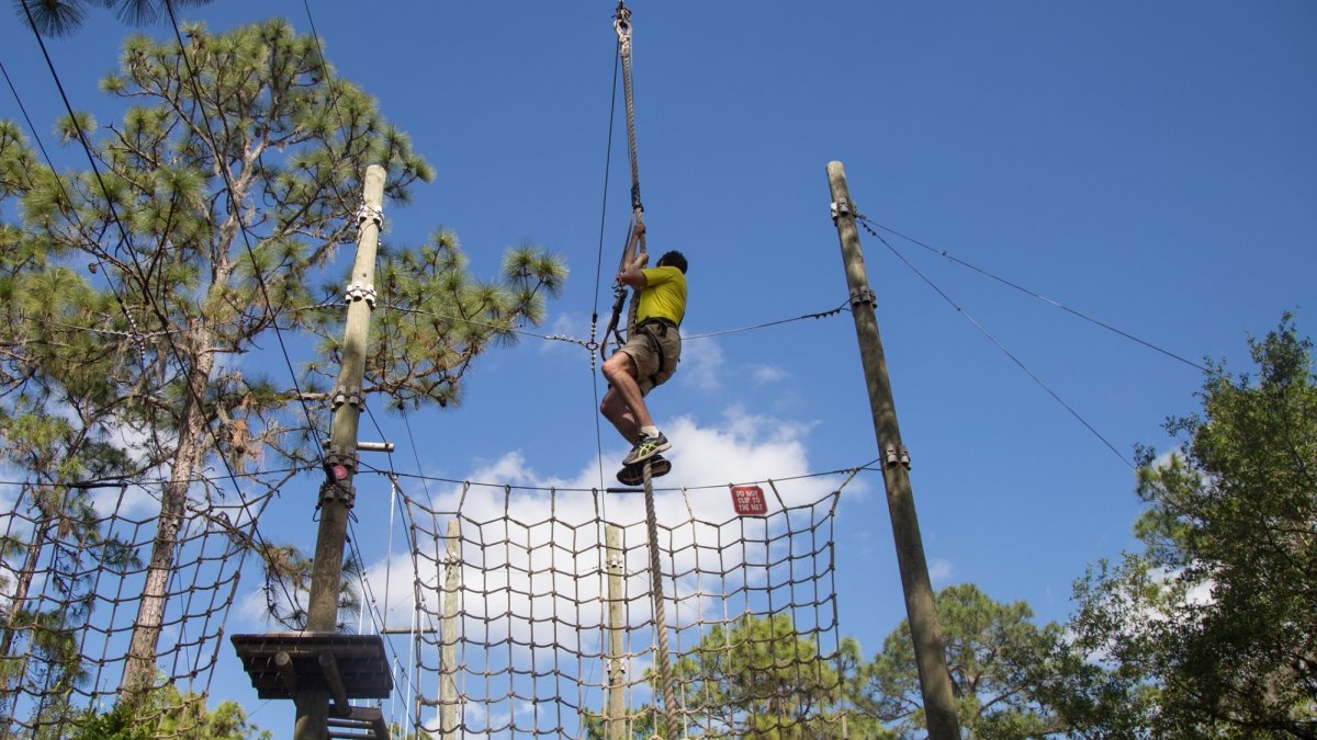 TreeUmph! Adventure Course