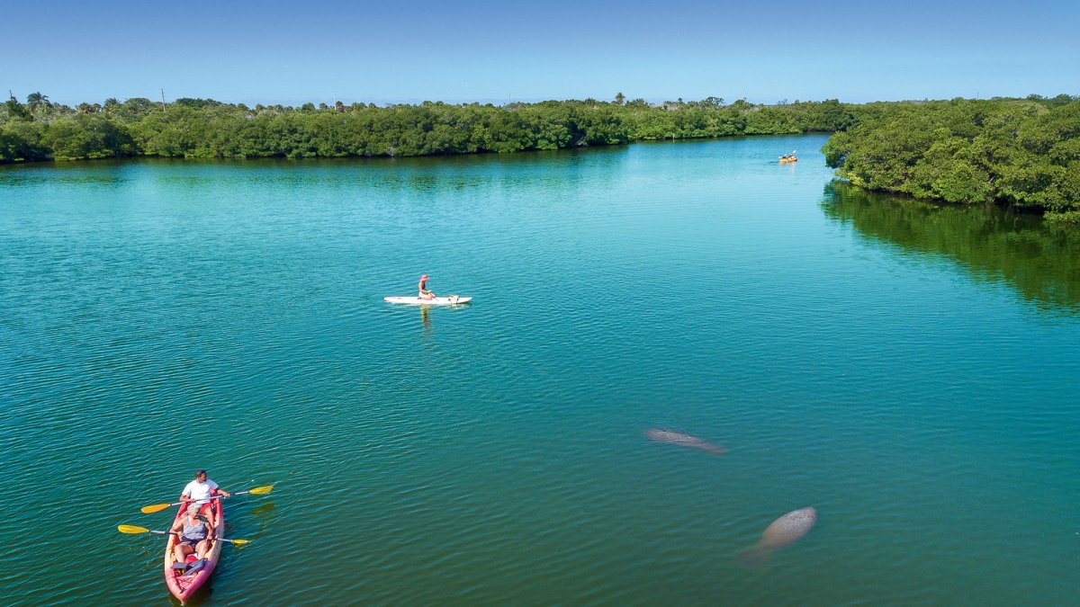 Coconut Kayak Tours