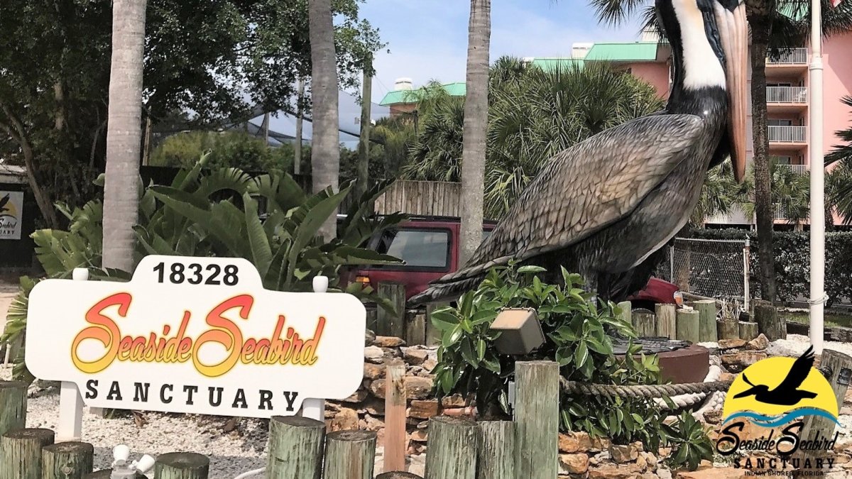 Seaside Seabird Sanctuary