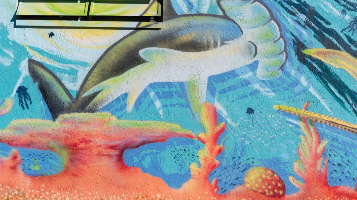 Sharks & Stingrays Mural, Edge District