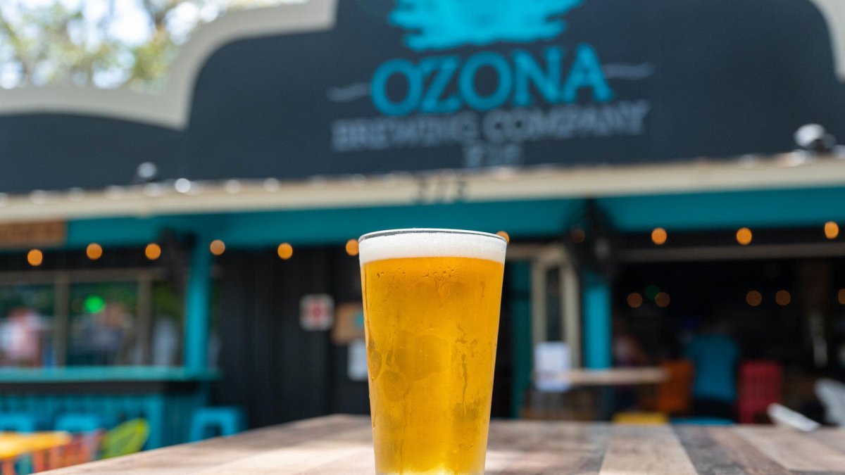 Ozona Brewing Company Beer
