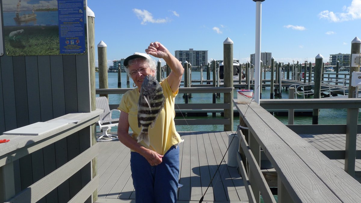 Fishing at the East Shore