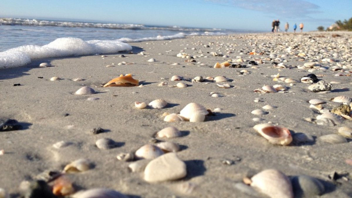 Indian Rocks Beach