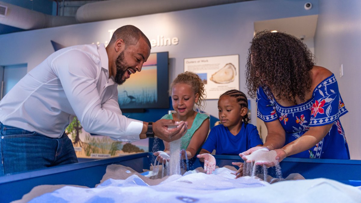 Tampa Bay Watch Discovery Center