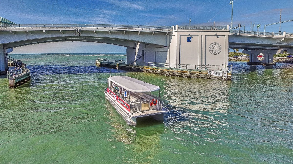 Dolphin Quest under the bridge