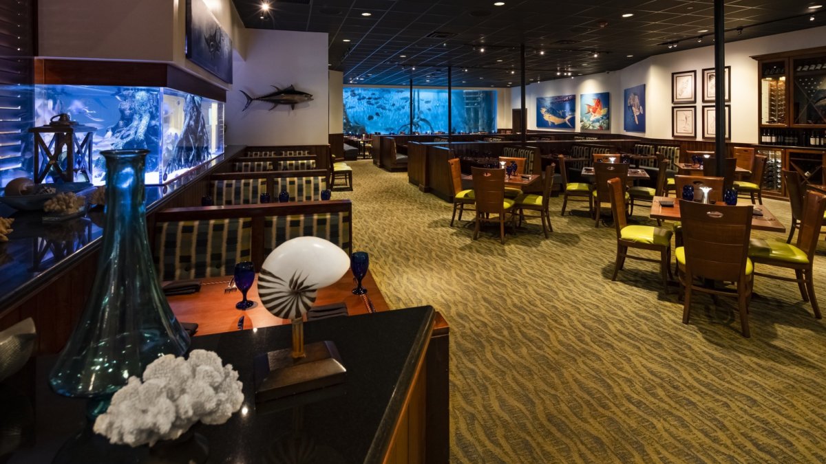 RumFish Grill dining room with Juvenile Tank