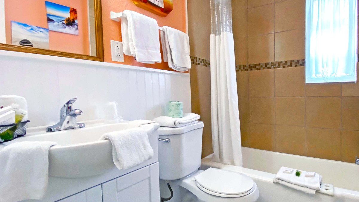 bathroom with a shower and a tub