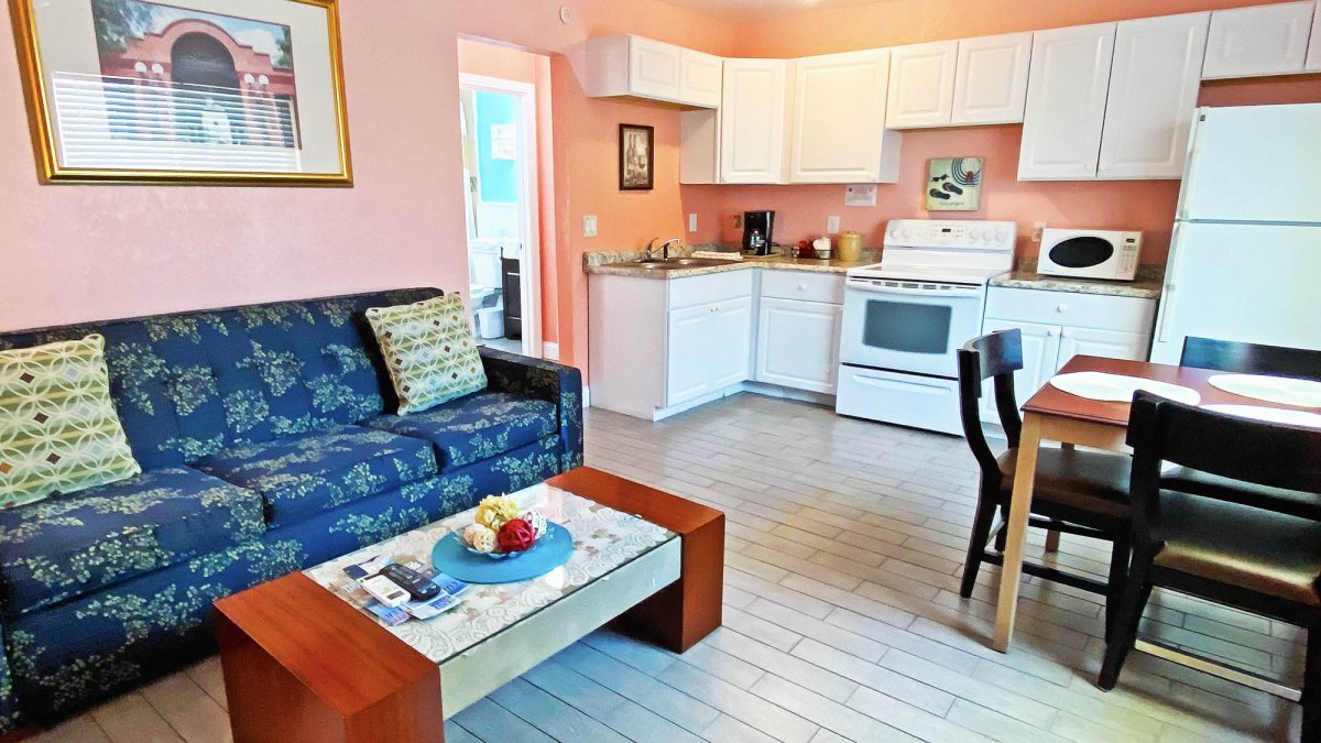 Apartment with a full kitchen and a pull out coach
