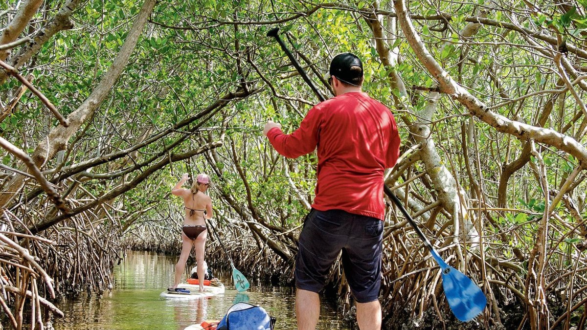 Paddleboarding