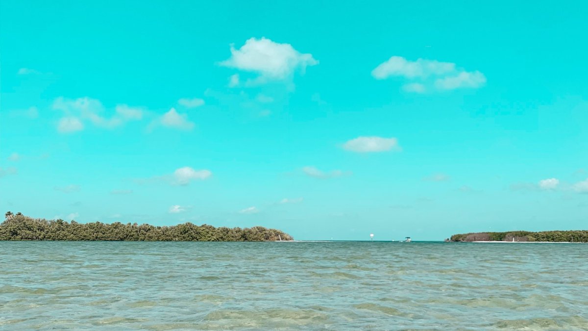 Clear waters and clear kayaks!