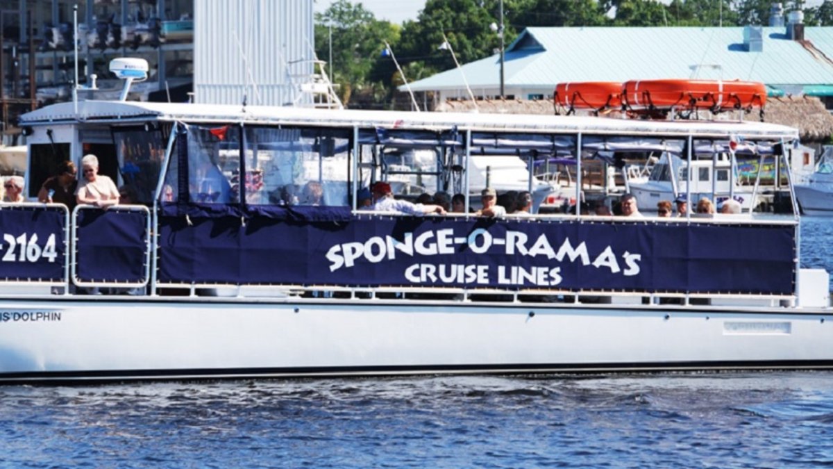 Spongeorama Cruise Lines