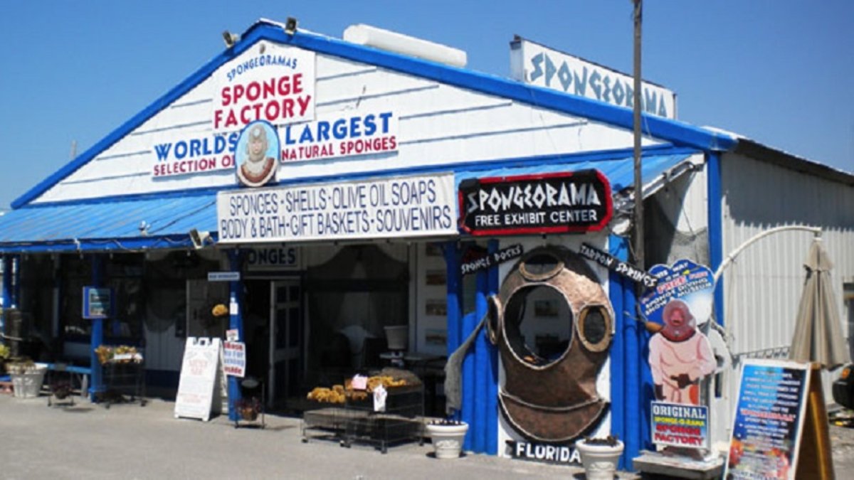 Spongeorama Sponge Factory