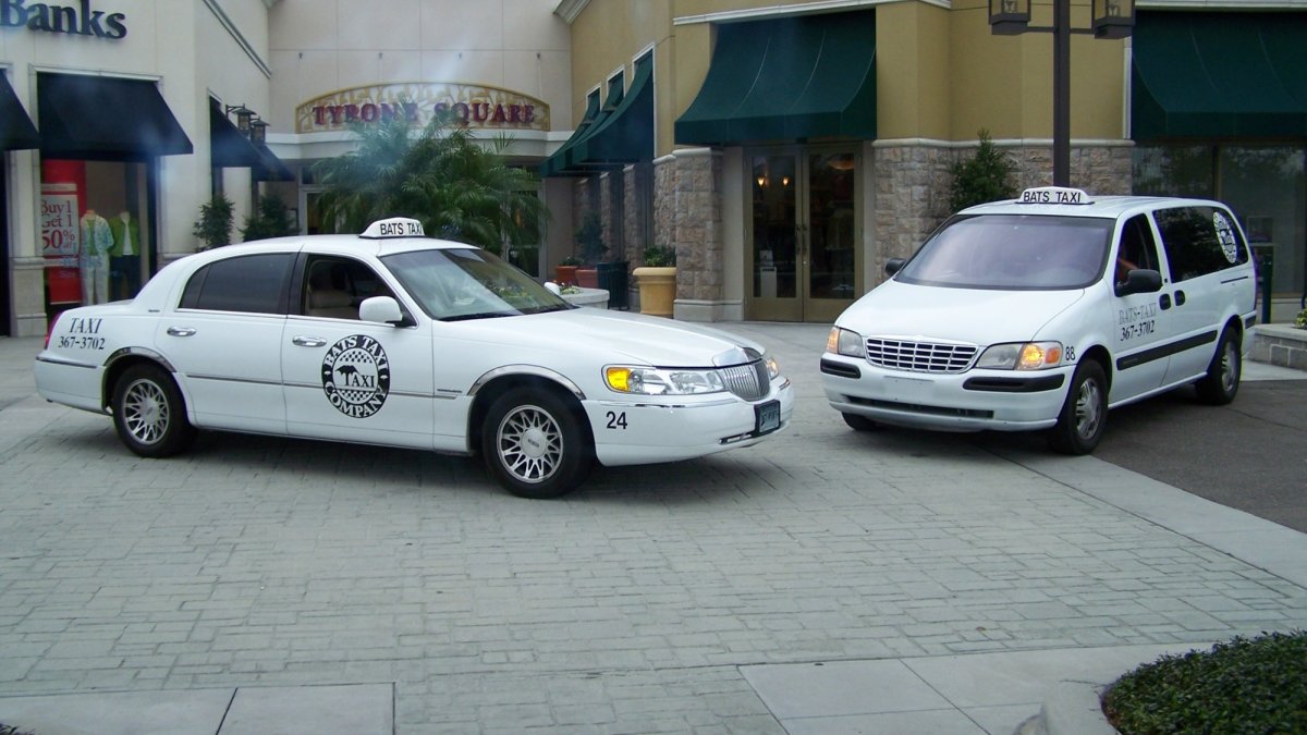 Bats Taxi Company