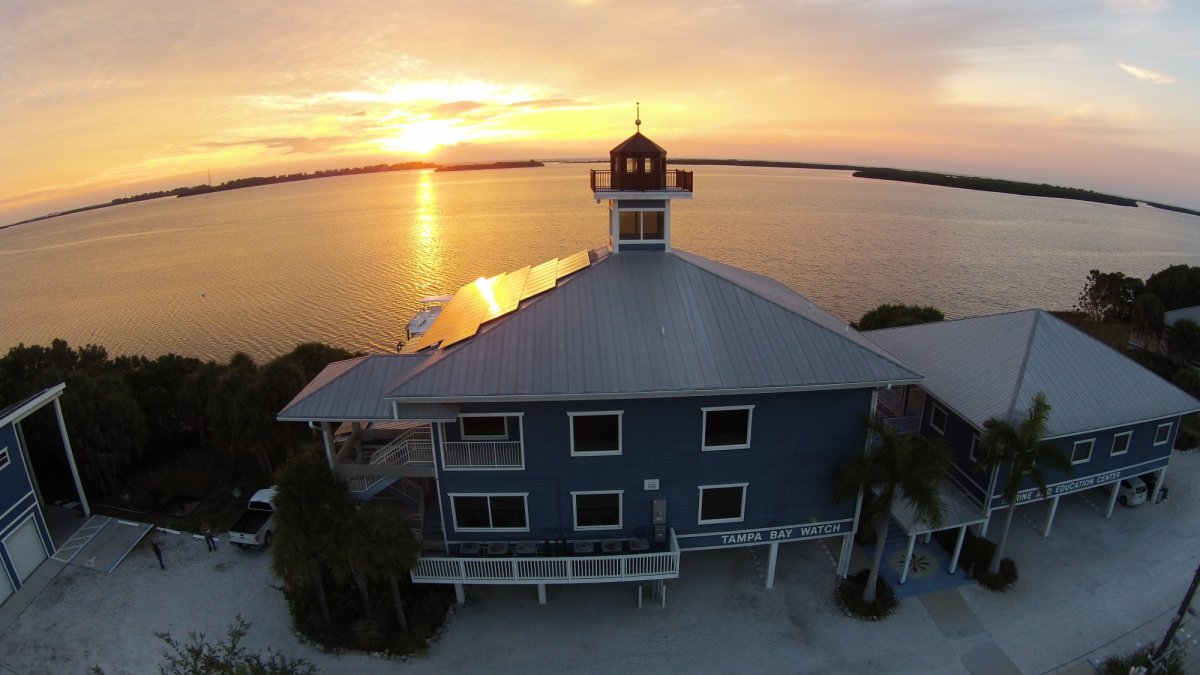 A spectacular sunset (Photo courtesy of Tampa Bay Watch)