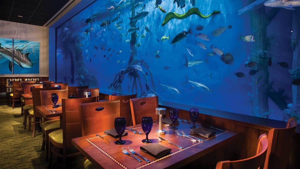 RumFish Grill is a fully immersive experience where visitors can eat, drink, shop and explore.
