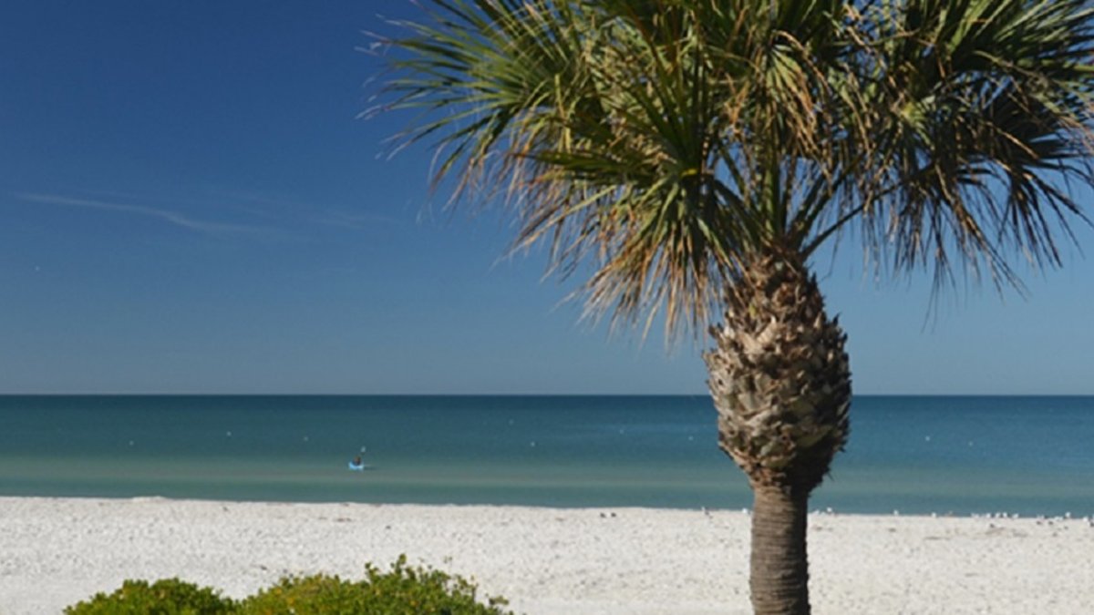 Three Palms Property Management Group
