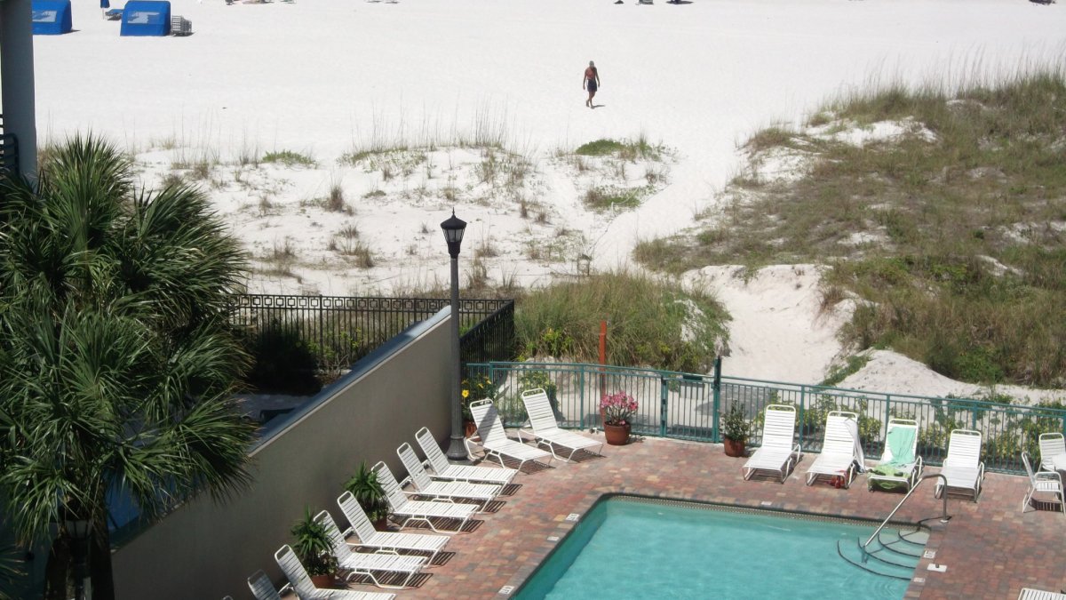 Vistas on the Gulf