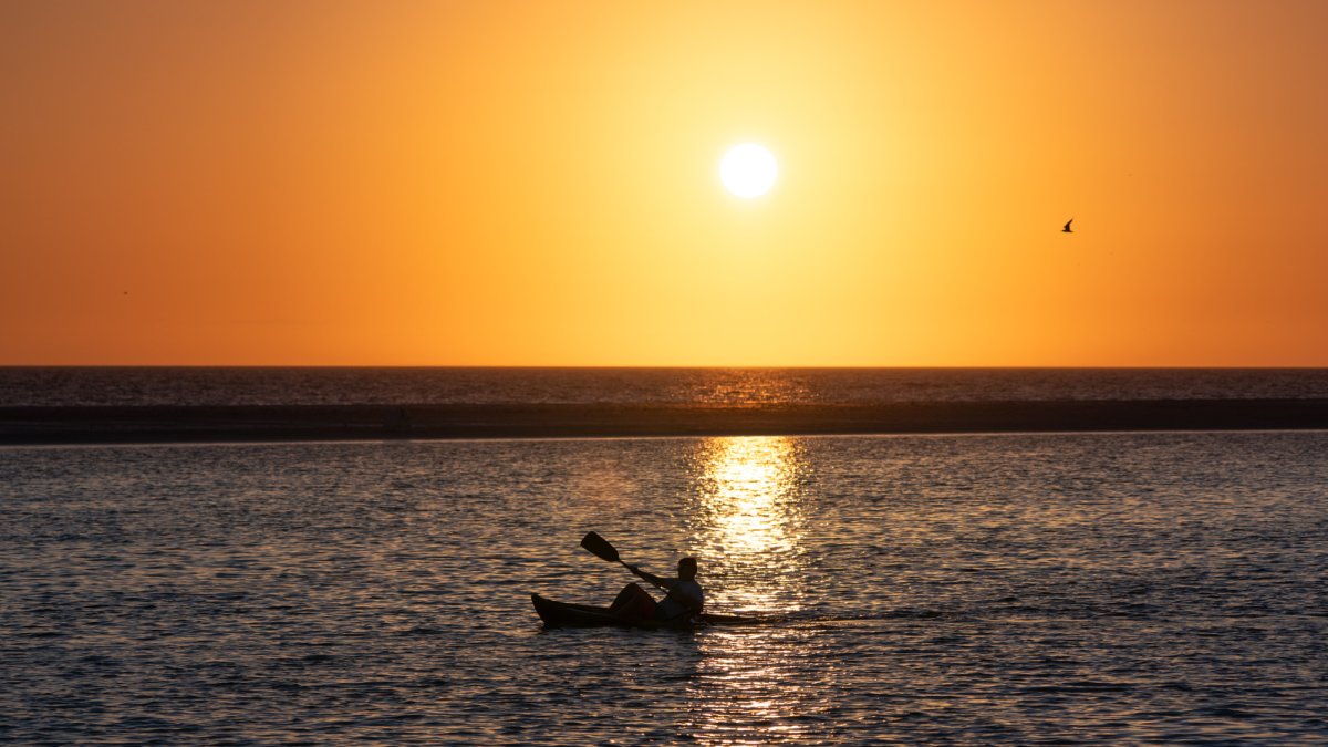 Goko Kayaks