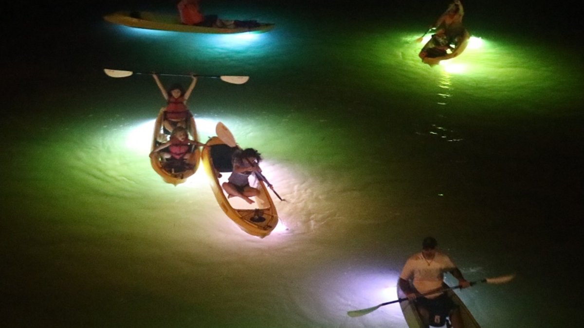 The Ultimate Kayak Adventure - Glass Bottom LED illuminated Kayak Tours