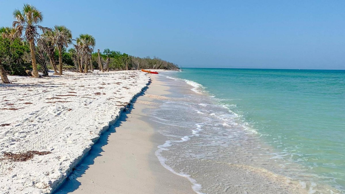 Caladesi Island State Park beach