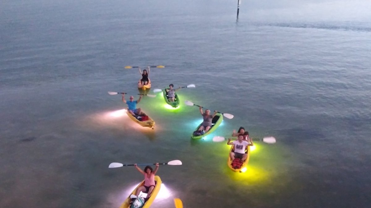 Glass Bottom Kayak LED illuminated Sunset to Night Tour