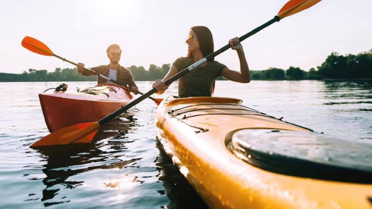 Kayak Tours Visit St Petersburg Clearwater Florida