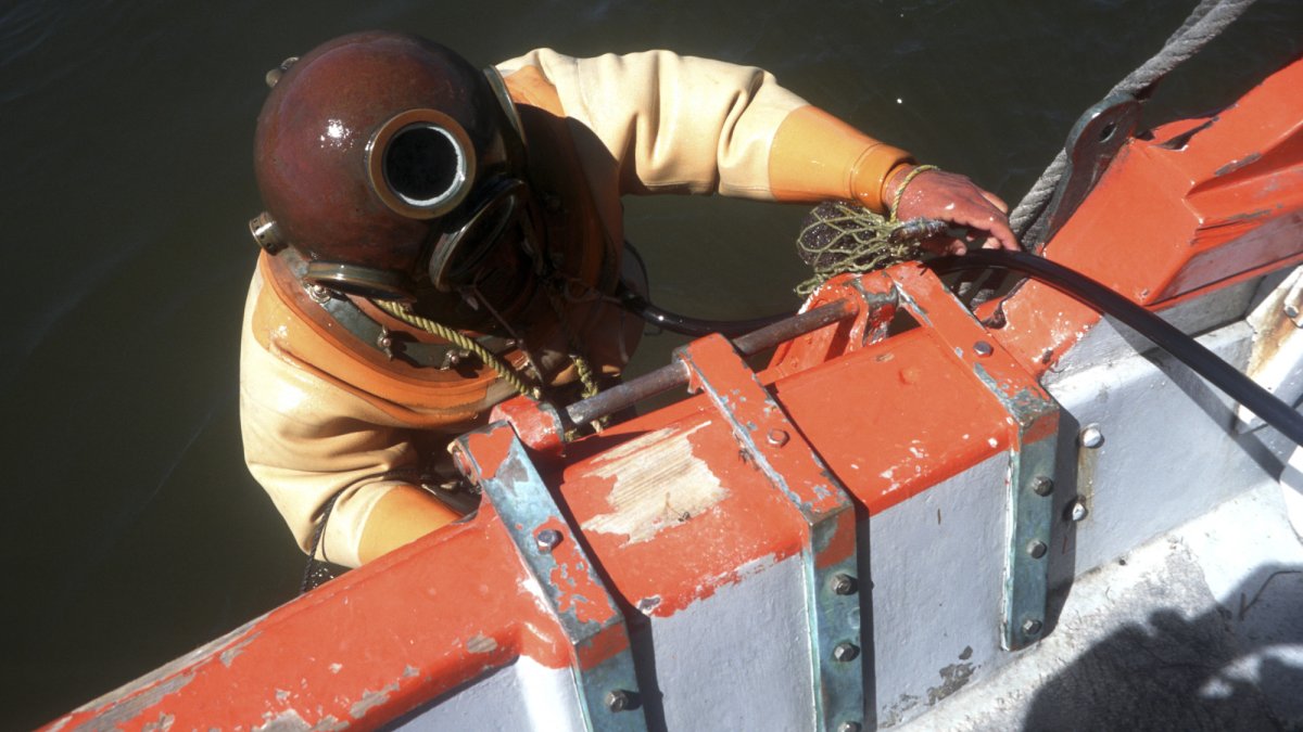 Take a boat tour and see how sponges are harvested from the seabed.