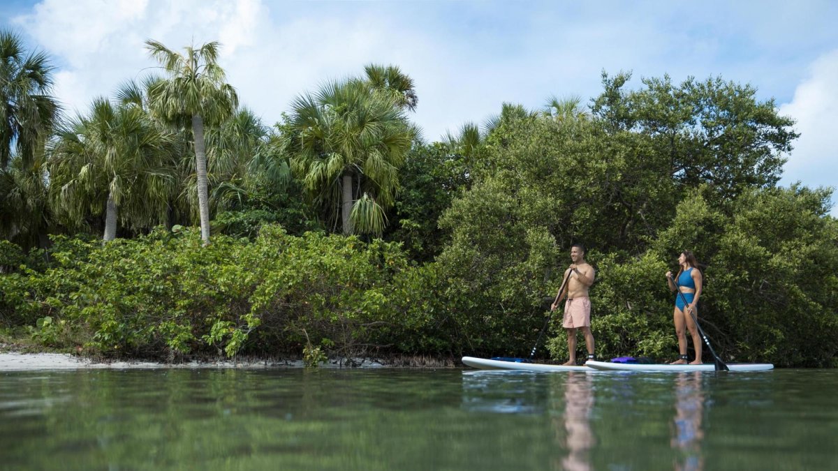 Fort De Soto Park paddleboarding