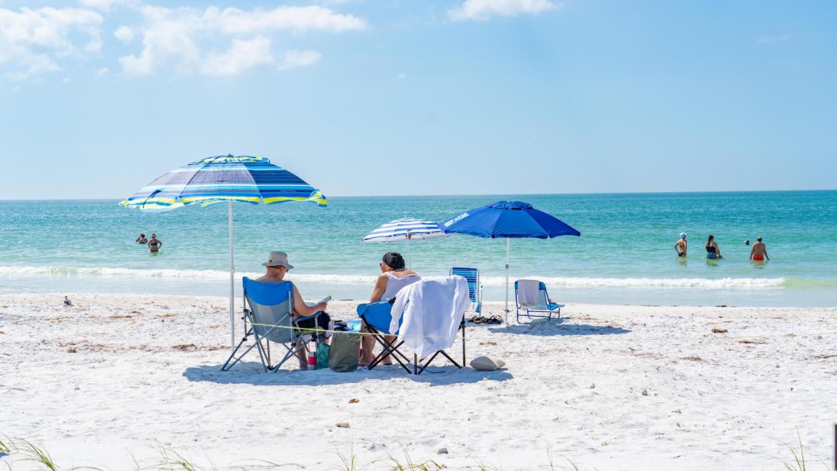 Honeymoon Island State Park  Visit St Petersburg Clearwater Florida