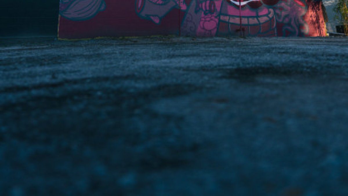 Blooms Mural, Grand Central District