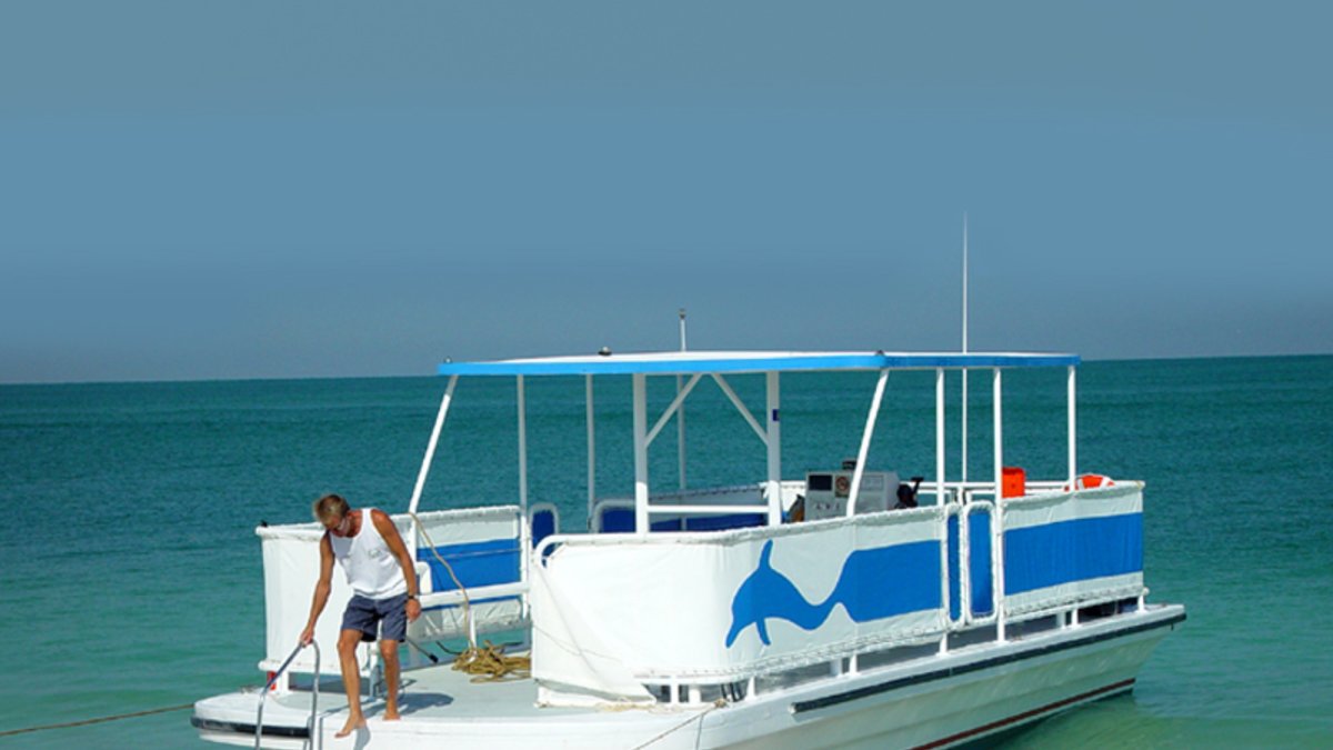 Take the ISLAND HOPPER to Shell Key and Egmont Key