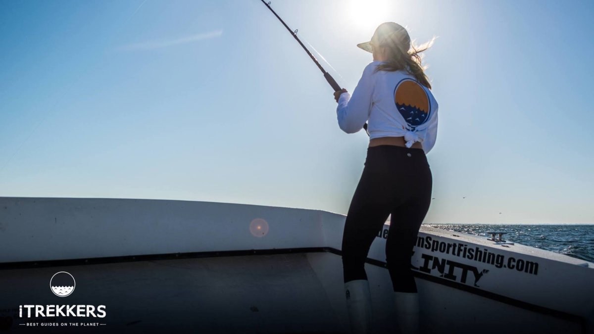 Offshore Fishing Charters