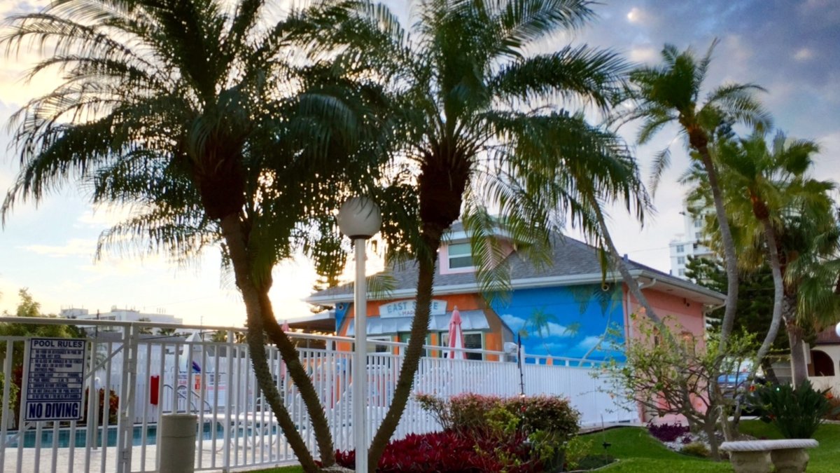 View of Pool Area from Patio