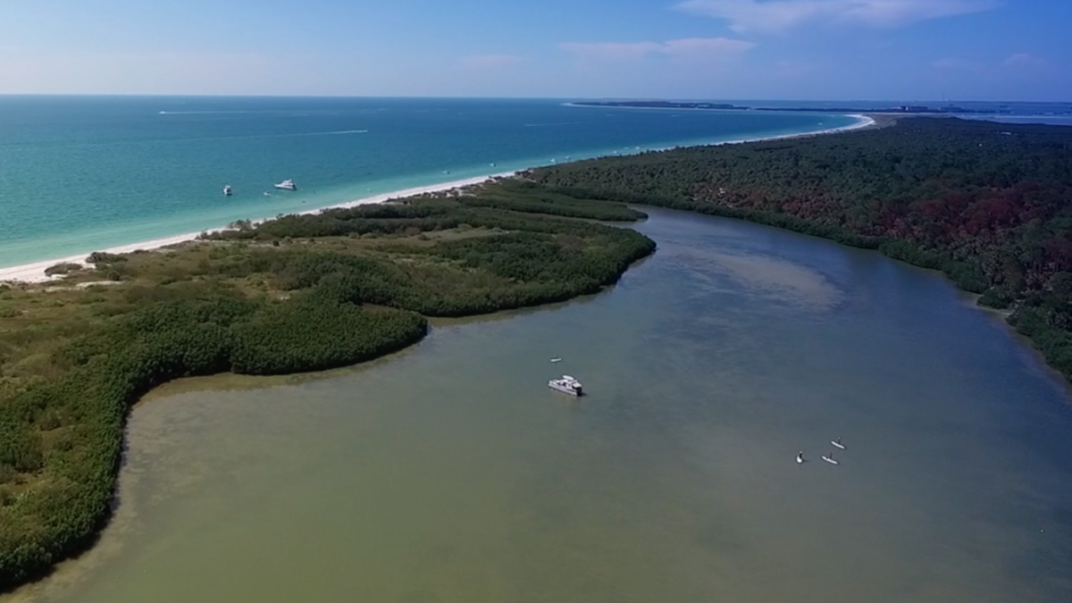 Paddle Out Adventures