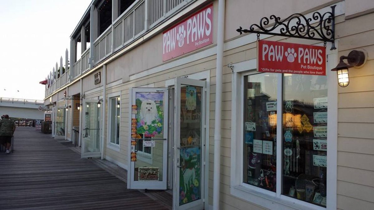 Paw pet best sale store