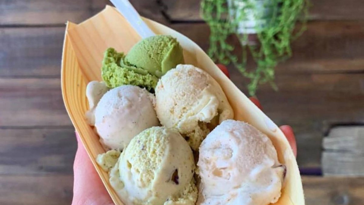 Plant Love Ice Cream Visit St Petersburg Clearwater Florida