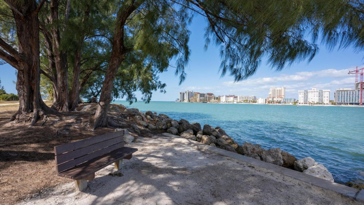 Sand Key Park bench