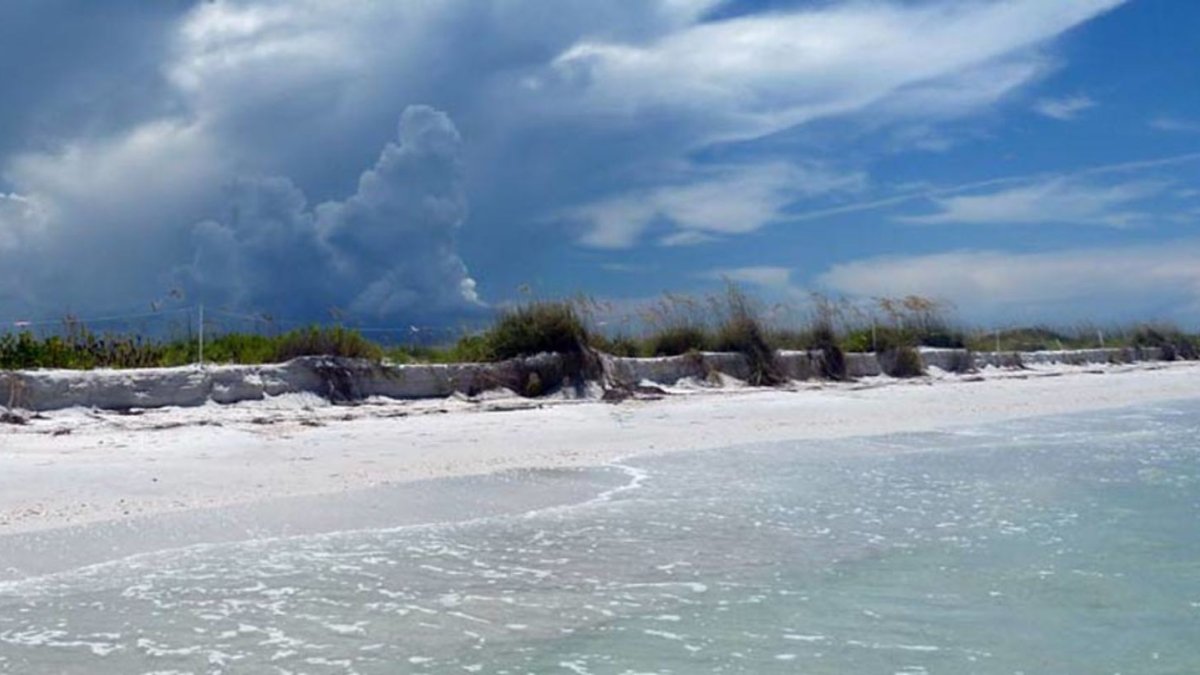 Shell Key  Explore this Florida Island and Sheller's Paradise 